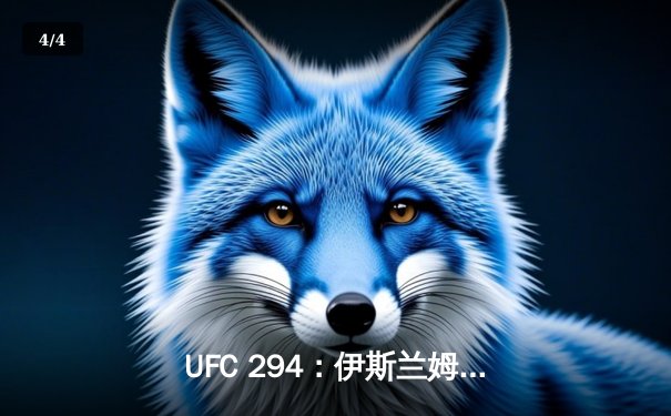 UFC 294：伊斯兰姆·马哈切夫首回合KO终结亚历山大·沃尔卡诺夫斯基卫冕成功 - 4
