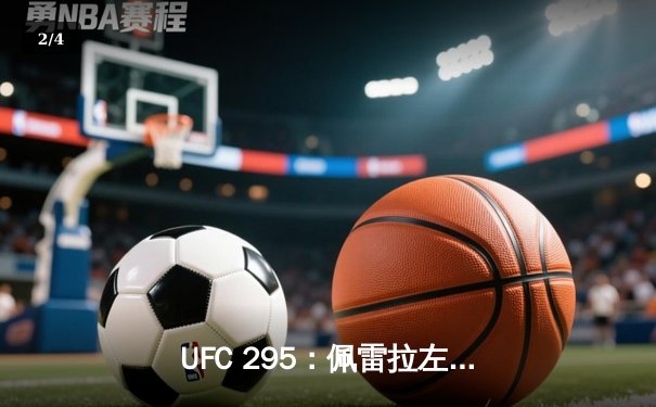 UFC 295：佩雷拉左勾拳终结普罗哈兹卡 重夺轻重量级金腰带 - 2