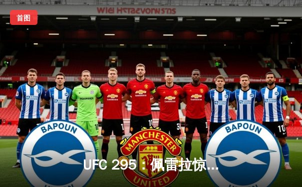 UFC 295：佩雷拉惊天KO卫冕成功 普罗哈兹卡轻重量级王朝梦碎