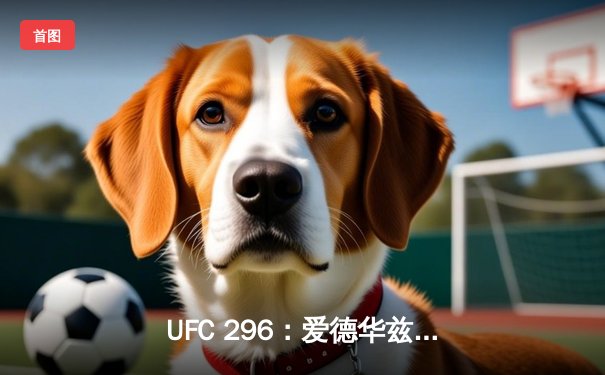 UFC 296：爱德华兹险胜乌斯曼卫冕成功，中国新星苏木达尔基创纪录